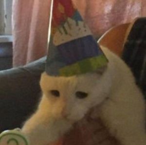 Meet your Posher, Nick